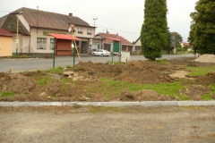 p1020103